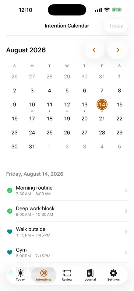 Intention calendar in SelfSight