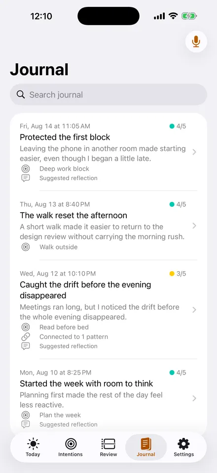 Reflection journal in SelfSight