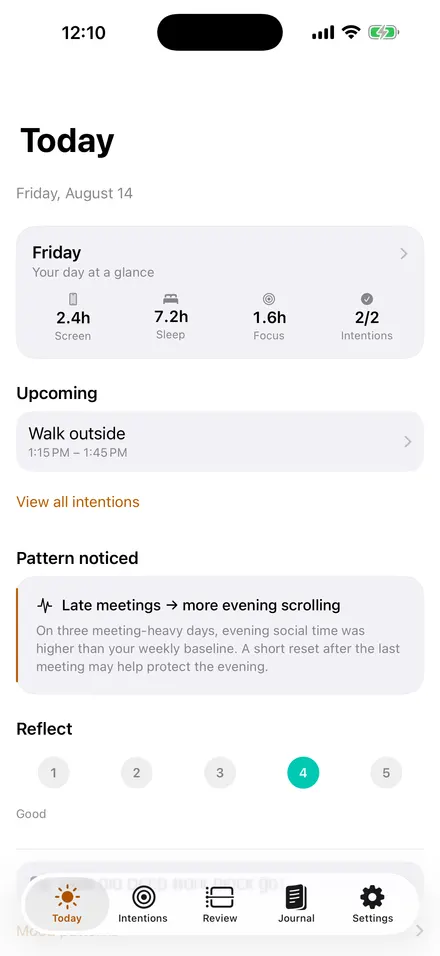 SelfSight Today screen showing a day at a glance